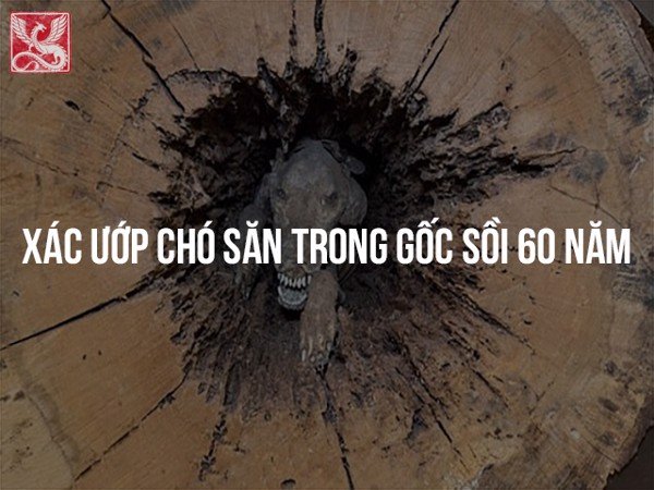 HAPPY CHUSEOK - LỄ HỘI TRUNG THU HÀN QUỐC NGAY GIỮA LÒNG THỦ ĐÔ